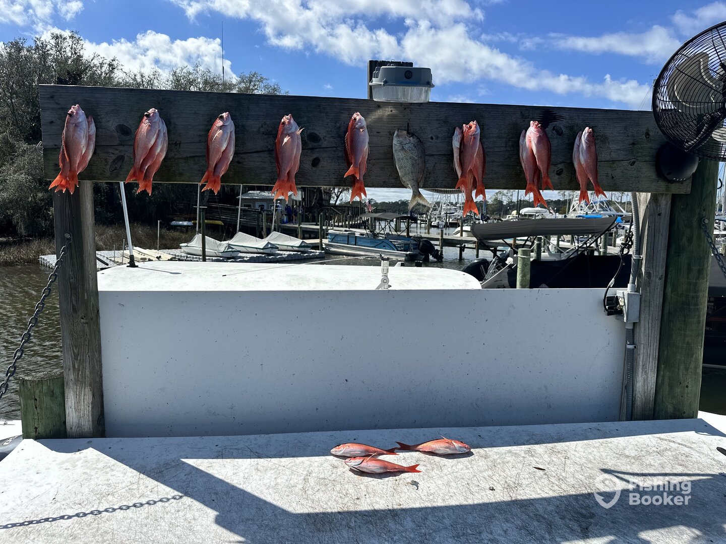 Niceville Report Photo 0