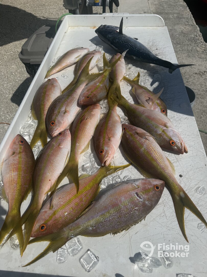 Little Torch Key Report Photo 0