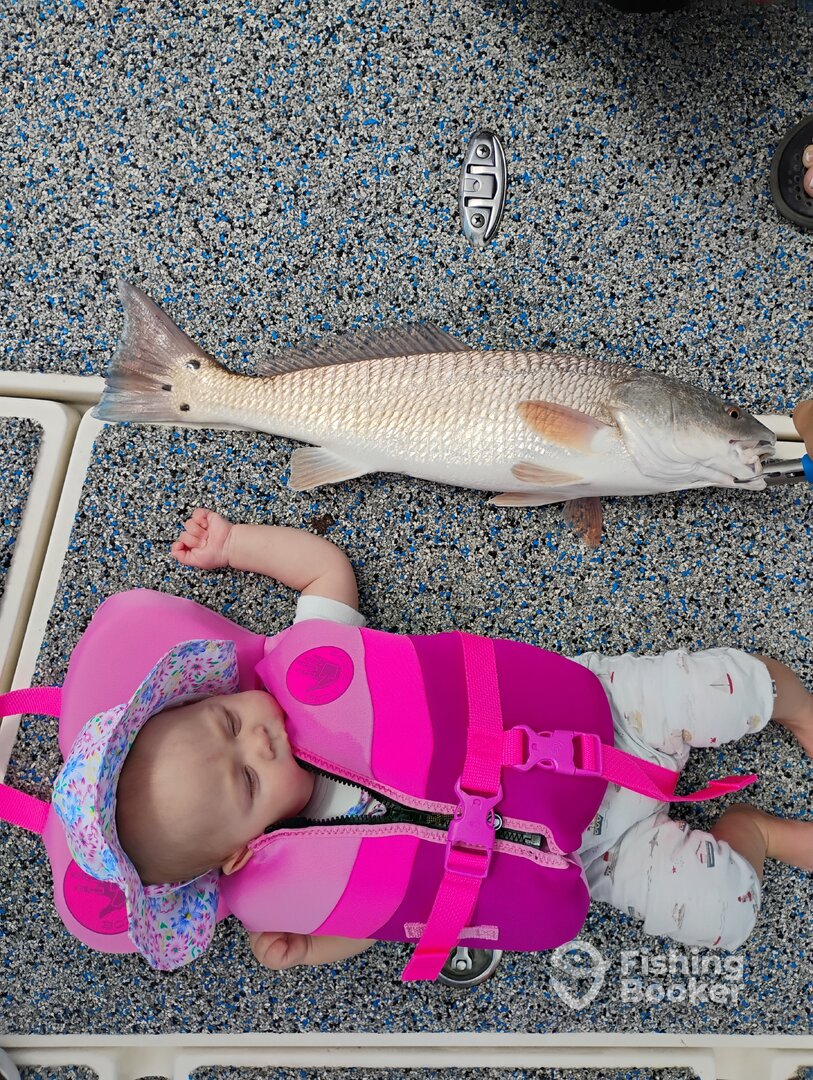 Belleair Bluffs Report Photo 0