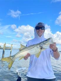 Jupiter Report Photo 1