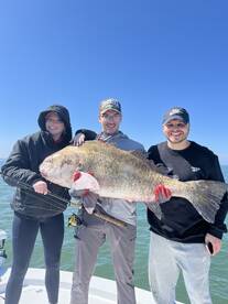 March Madness Monsters 