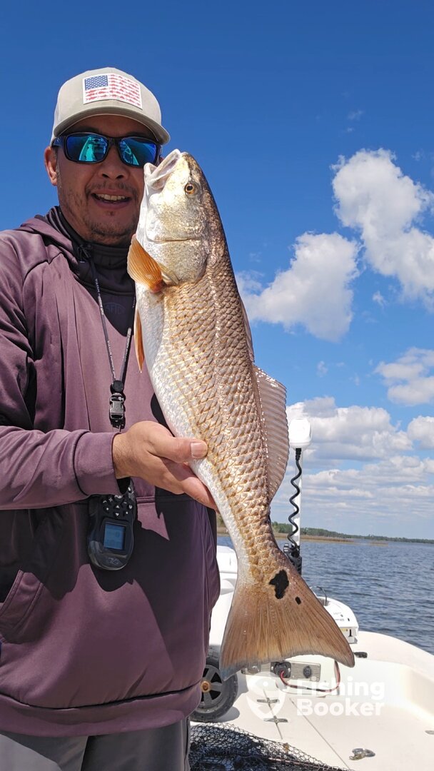 Panama City Report Photo 0