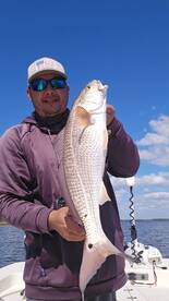 Panama City Report Photo 2