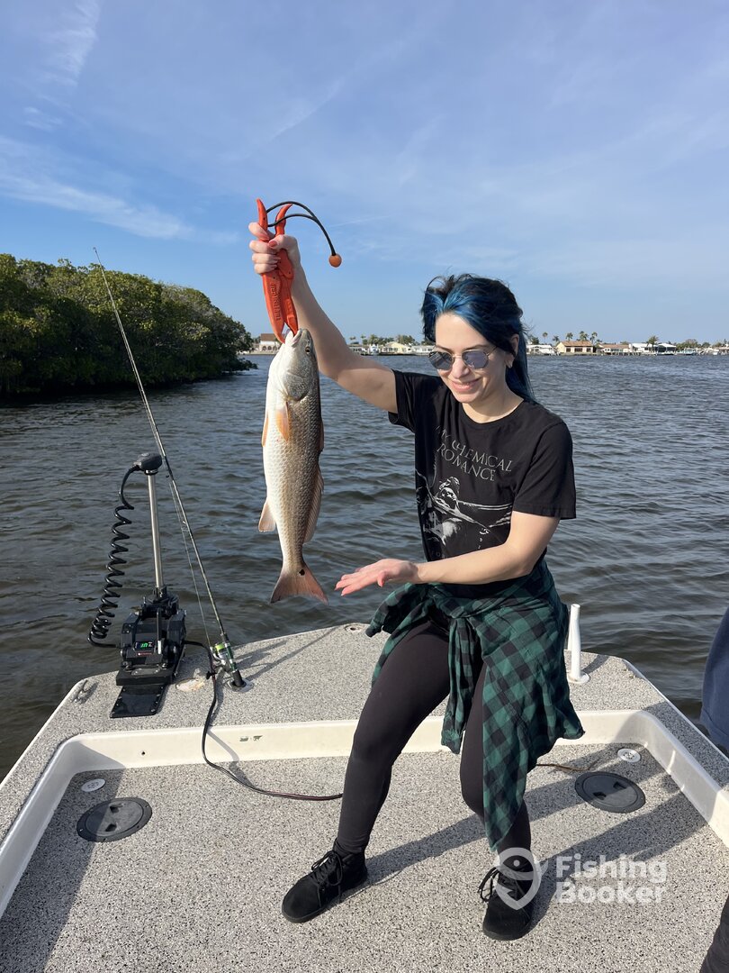 Port Richey Report Photo 0