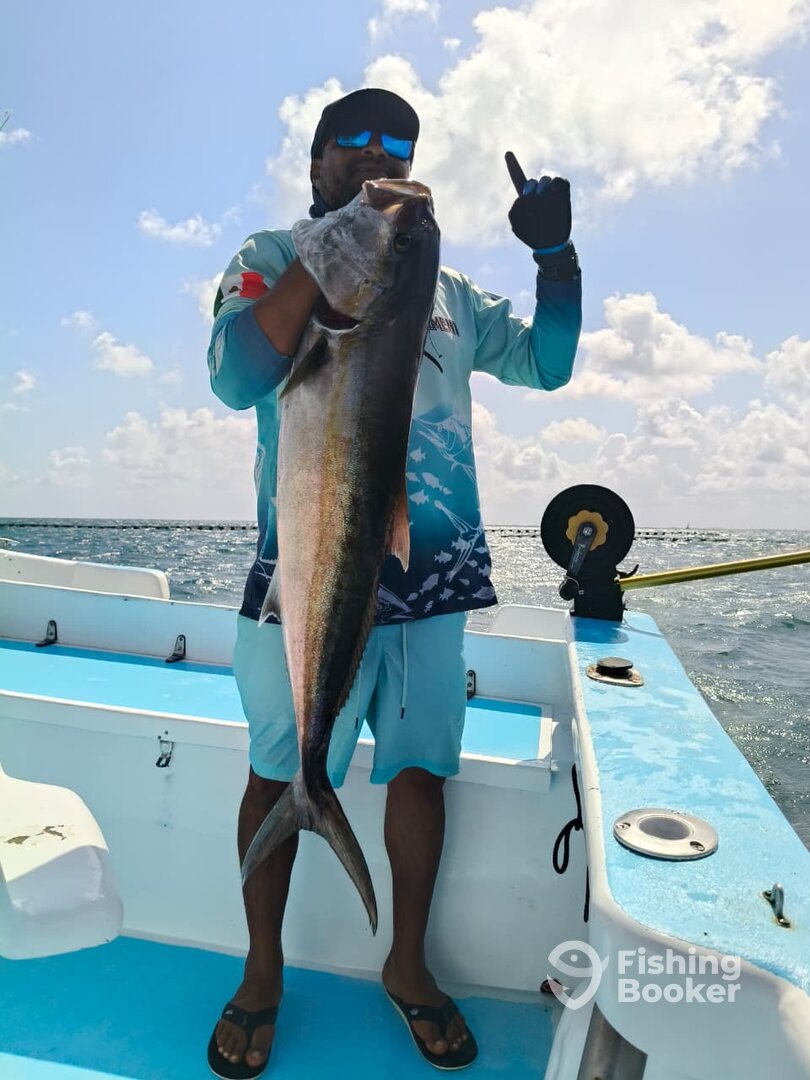 Playa Del Carmen Report Photo 0