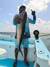 Amberjack & Yellowtail