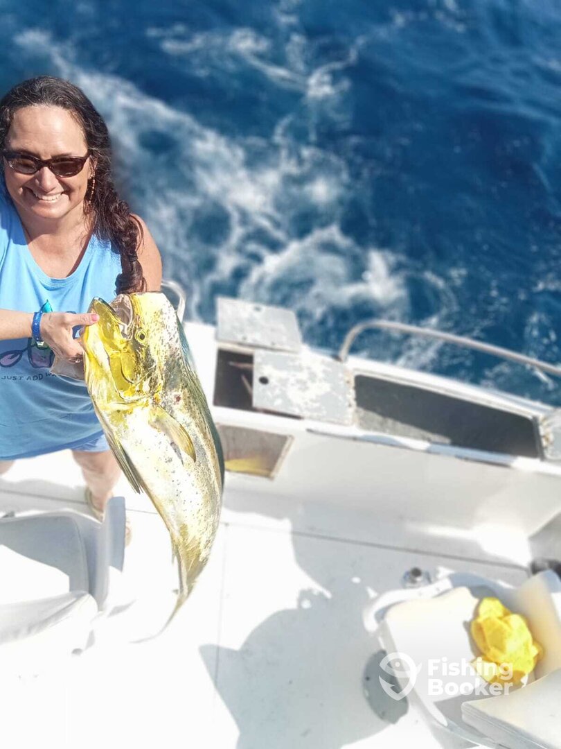 Cabo San Lucas Report Photo 0