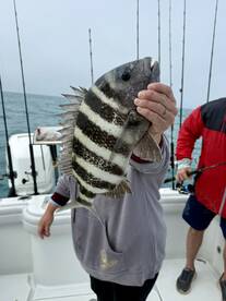 Englewood Report Photo 1