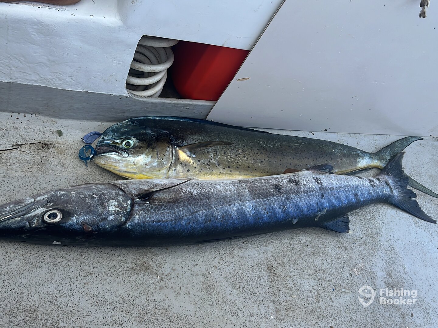 Diani Beach Report Photo 0