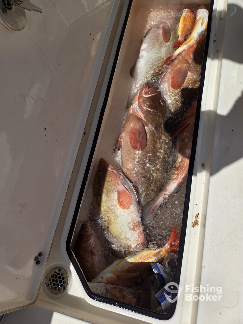 Everglades Report Photo 0