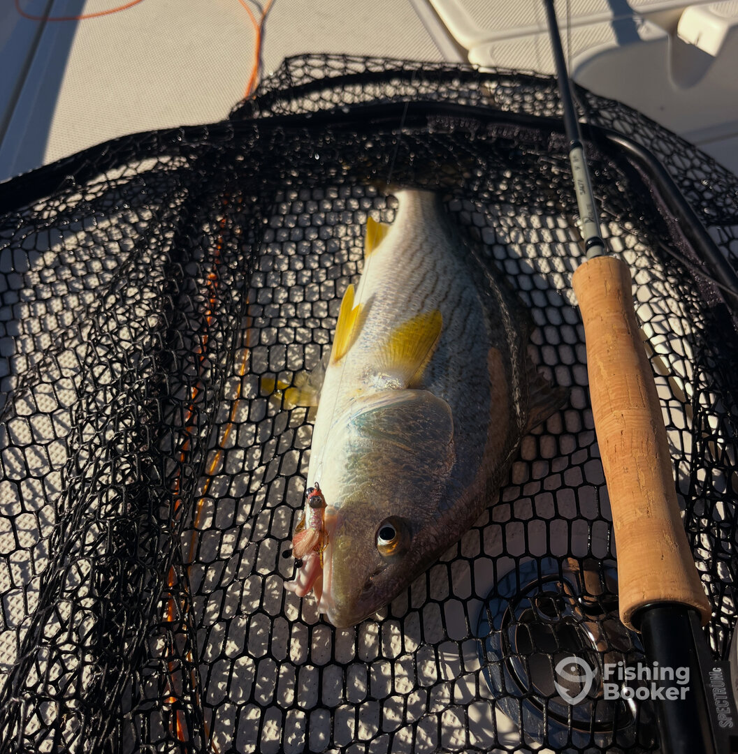 Mission Bay Report Photo 0