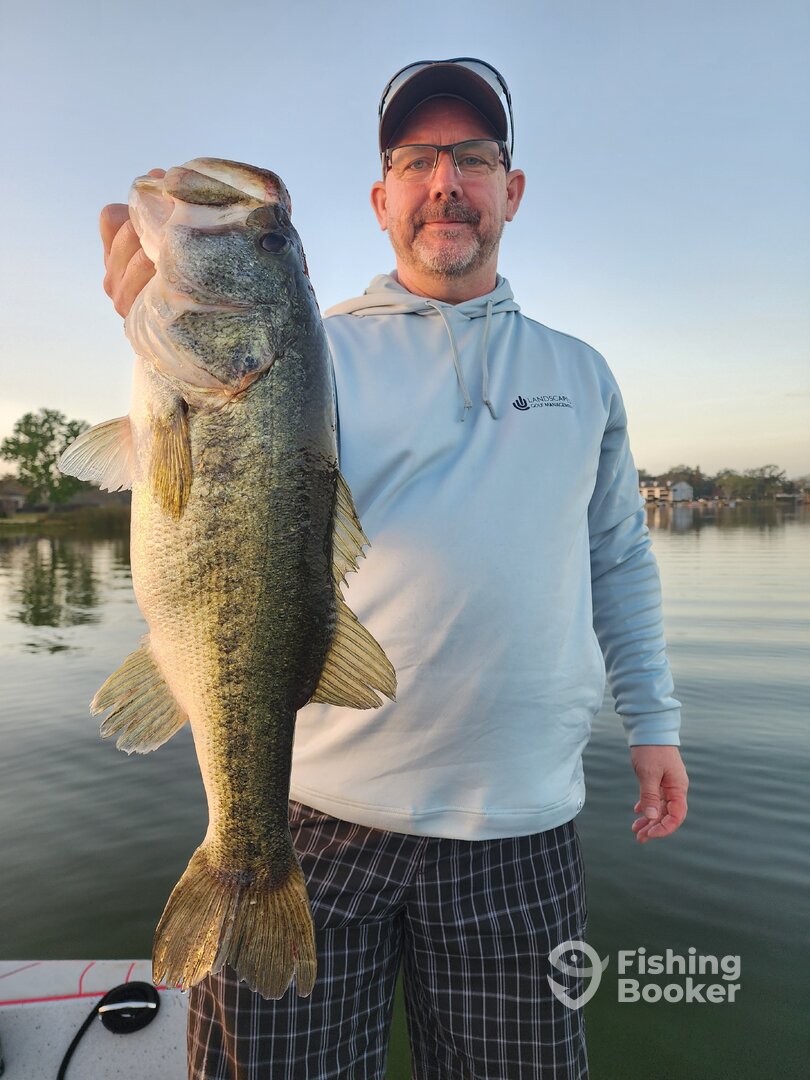 Orlando Report Photo 0