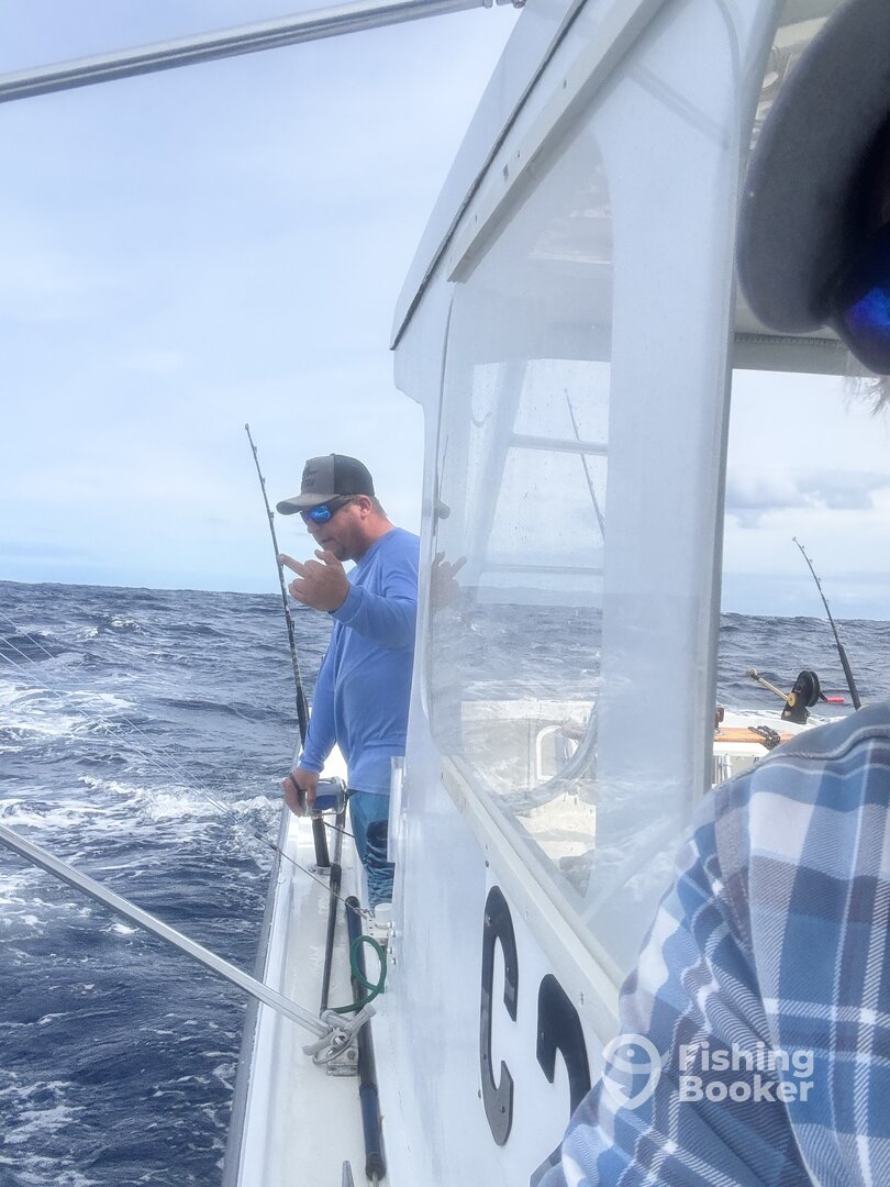 Bermuda Report Photo 0