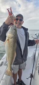 Sheepshead coming in hard
