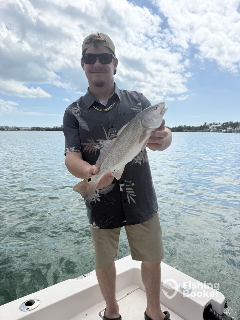 Sarasota County Verslag Foto 0