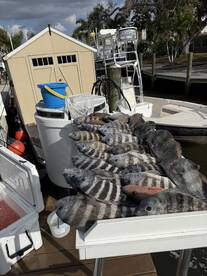 Sarasota County Verslag Foto 1