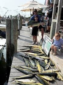 Ocracoke Report Photo 2