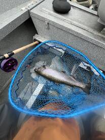 Jefferson County Report Photo 2