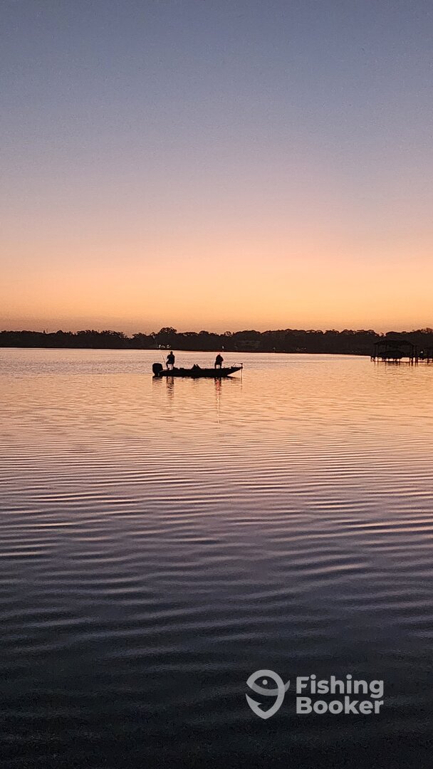 Orlando Report Photo 0