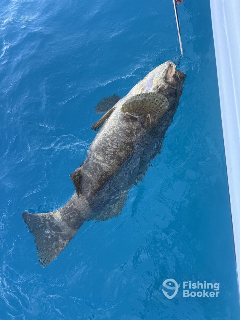 Englewood Report Photo 0