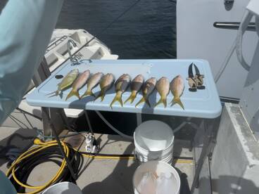 Patch reef fishing is good