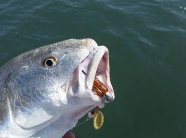 South Padre Island Report Photo 2