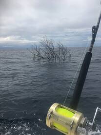 Herradura Report Photo 1