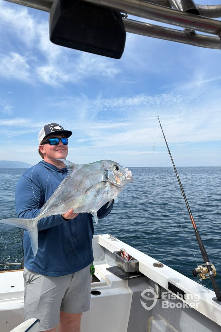 Puerto Vallarta Report Photo 0