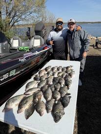 Mineola Verslag Foto 4