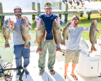 Epic Tampa Bay Grouper Day!