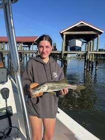 Big Jacks, Snook, and More!