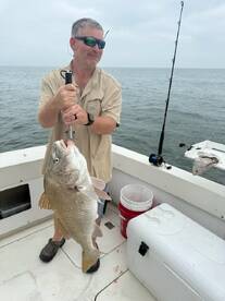 Galveston Report Photo 1