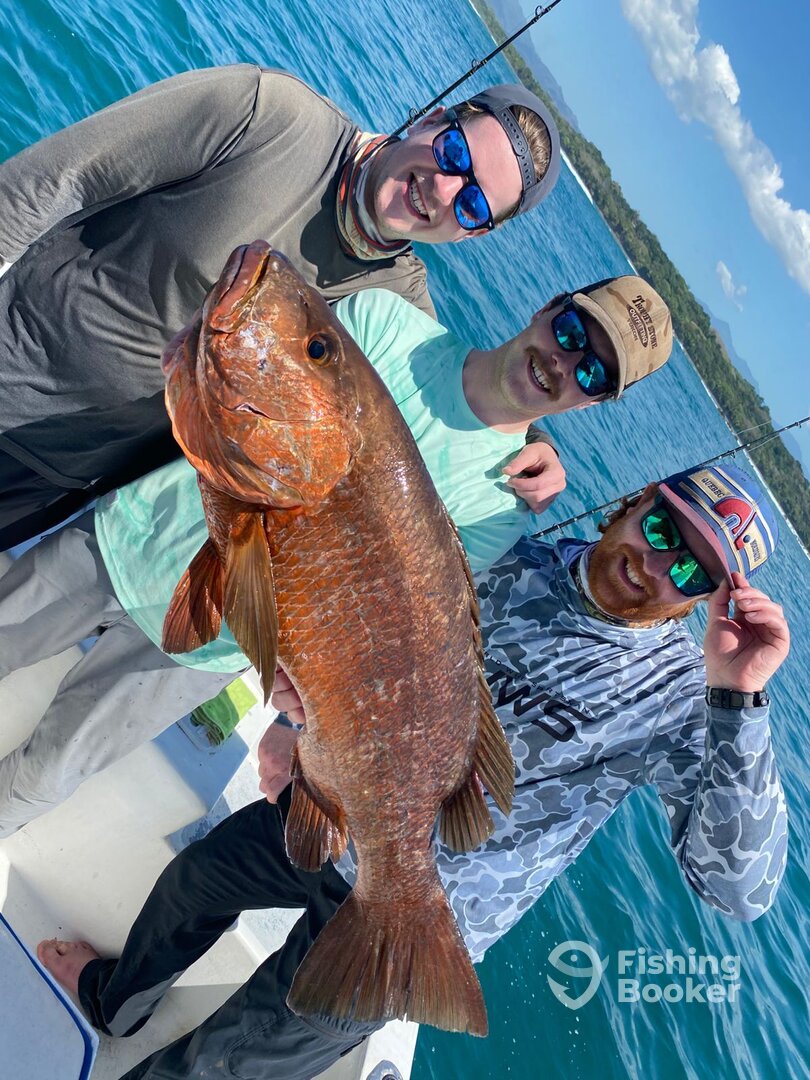 Costa Rica Report Photo 0