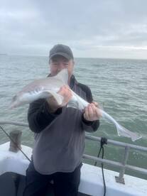 United Kingdom Report Photo 1