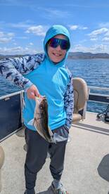 Arizona Report Photo 1