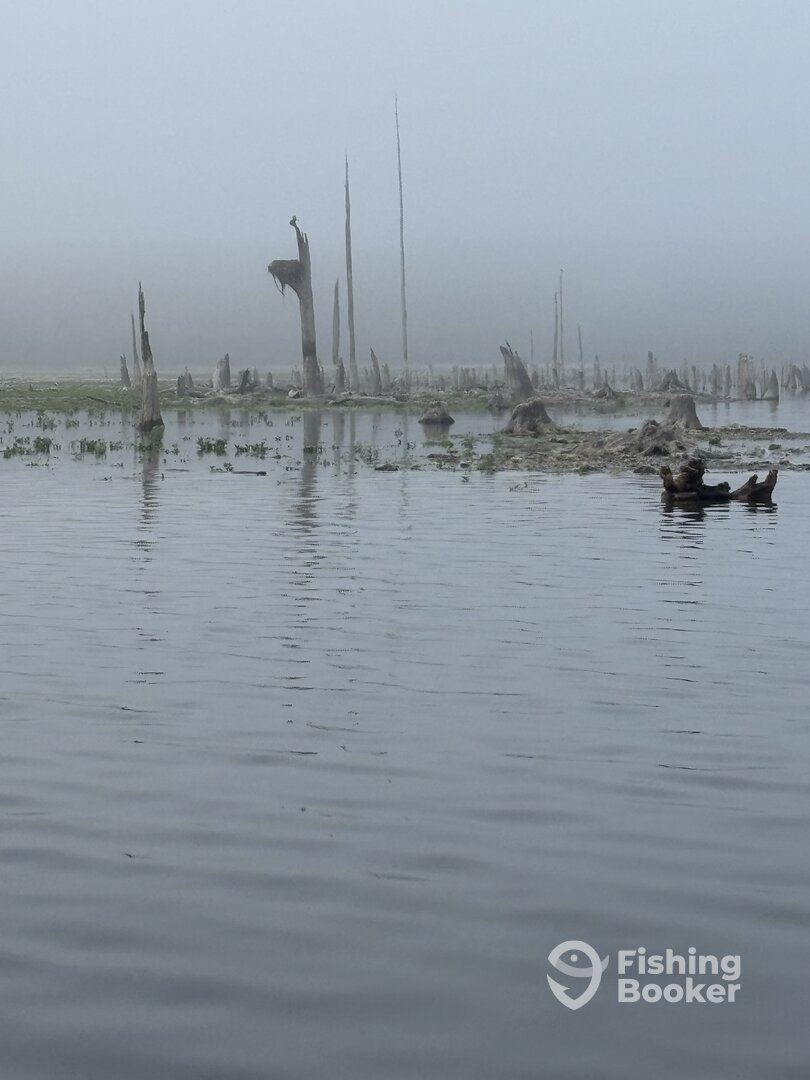 Interlachen Report Photo 0