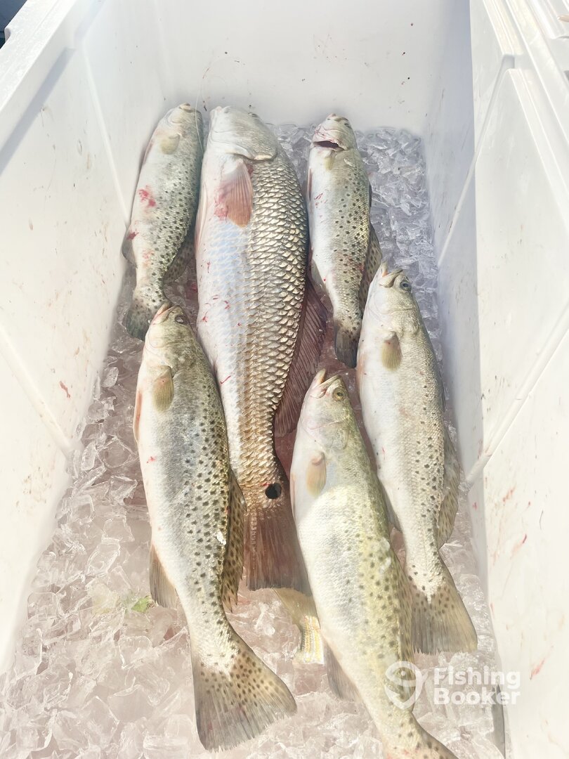 Crystal River Verslag Foto 0