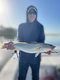 Holmes Beach Report Photo 2