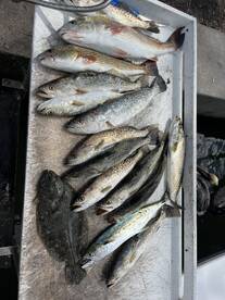 Holmes Beach Verslag Foto 2