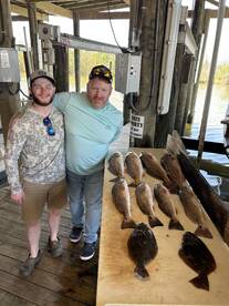 Redfish: 0, Persistence: 1.