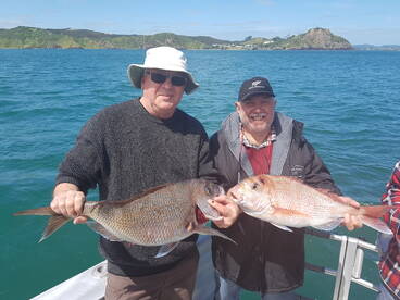 Paihia Report Photo 1
