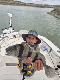Hilton Head Island Report Photo 1