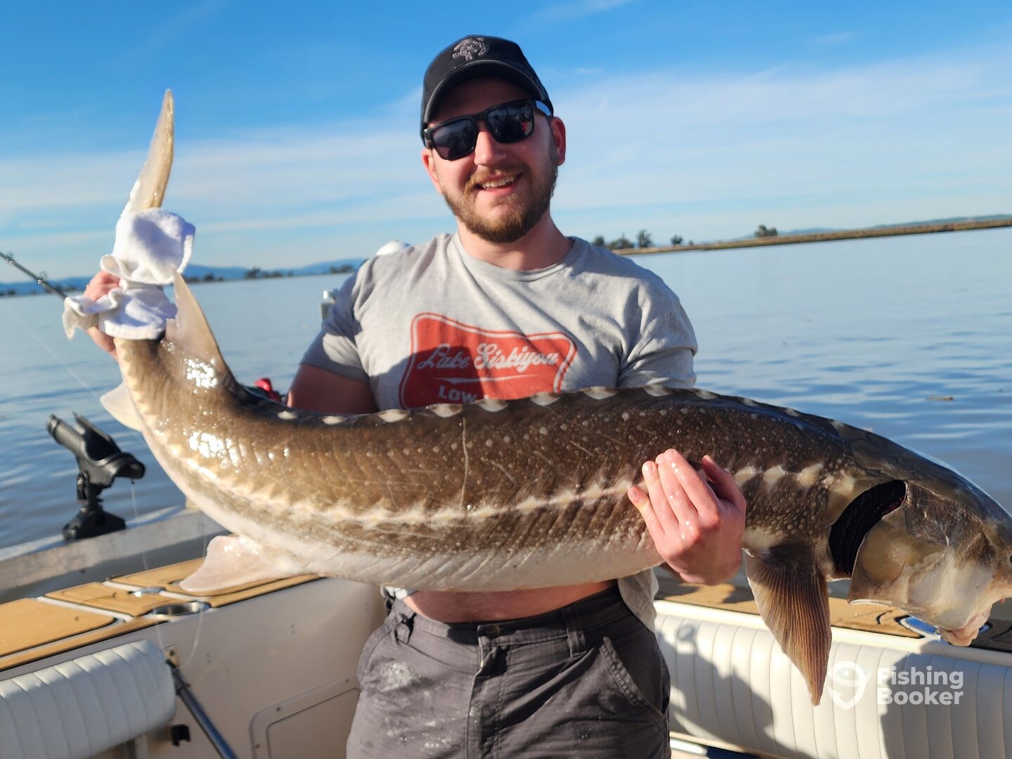 Bay Area Report Photo 0