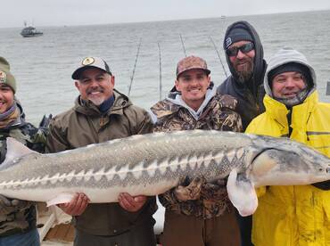 Bay Area Report Photo 1