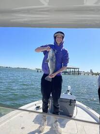 Orange Beach Report Photo 2