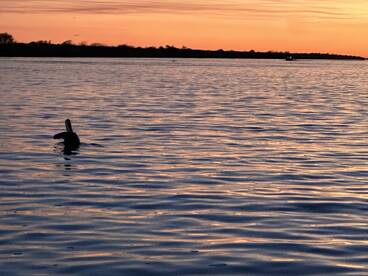 Port O'Connor Report Photo 2