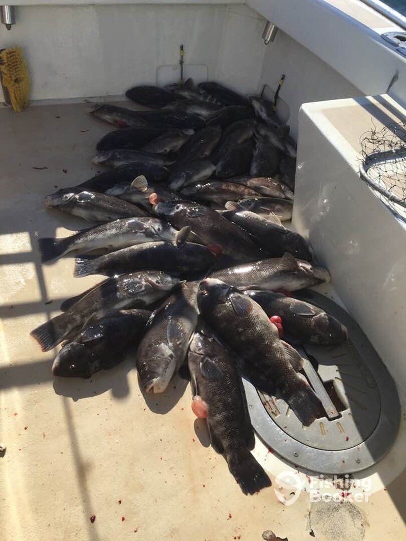 Montauk Report Photo 0