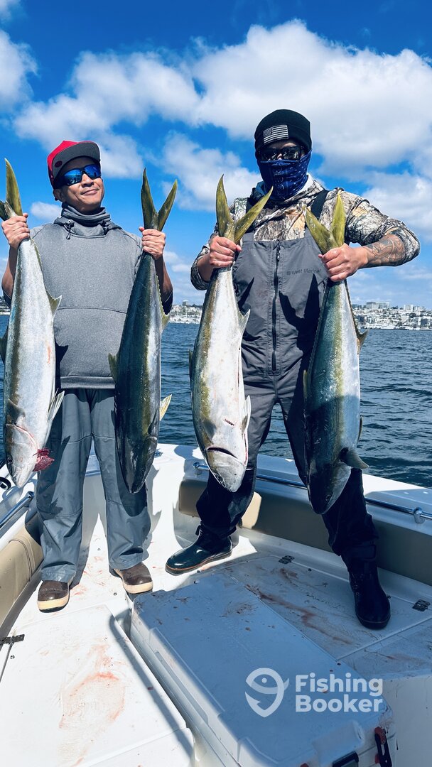 Mission Bay Report Photo 0