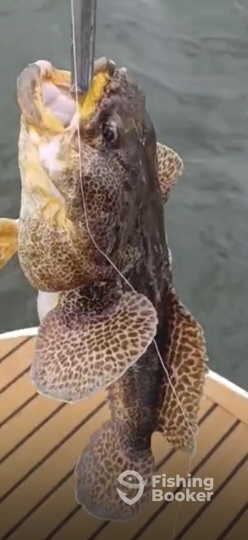 Lisbon Report Photo 0