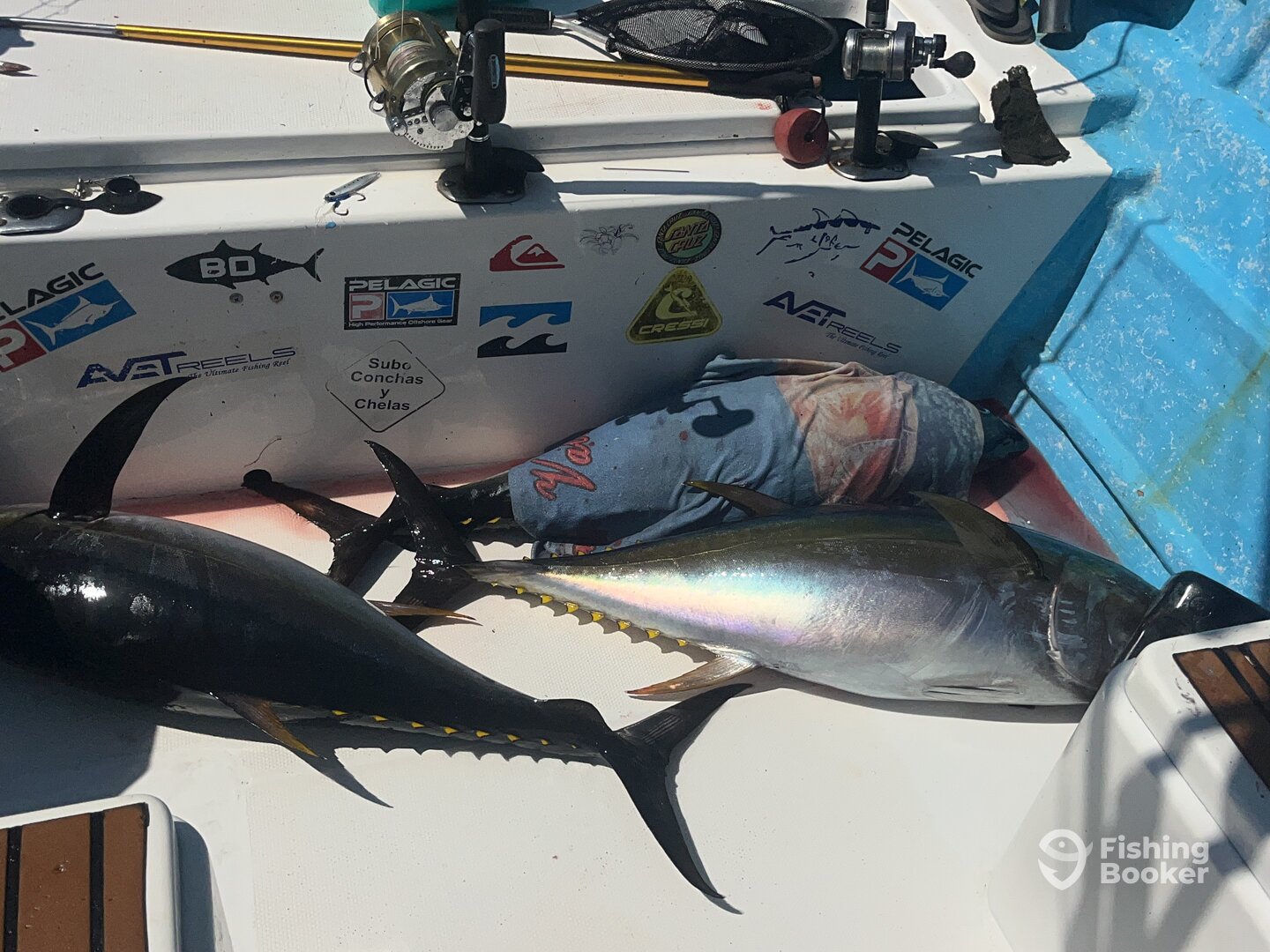 Puerto Vallarta Verslag Foto 0